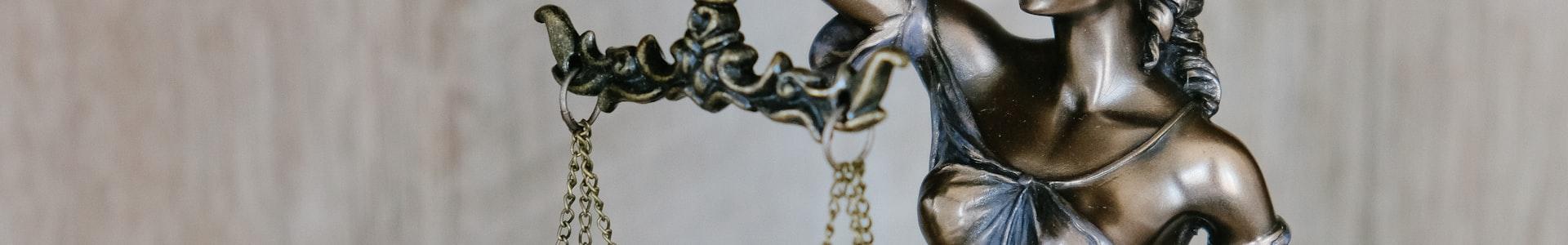 Terms and Conditions